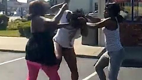 Black Girls Fighting Videos